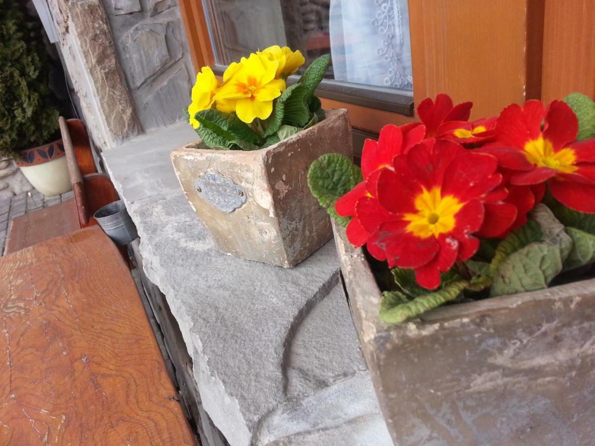 U Hani W Poblizu Goracy Potok I Termy Szaflary Exterior foto